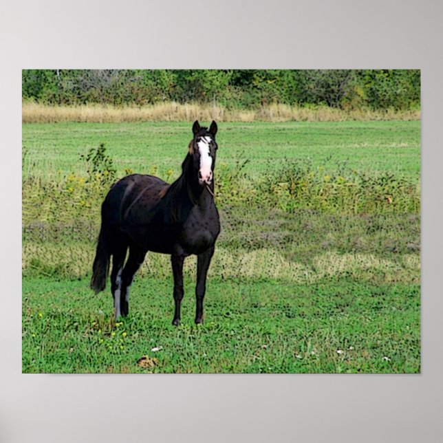 Kisses Poster (Framsidan)