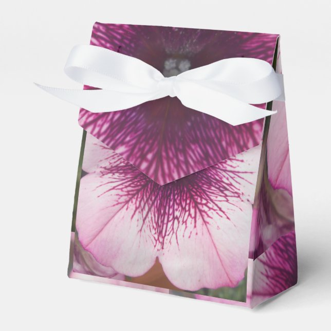 Kisses Presentaskar (Framsidan Sidan)