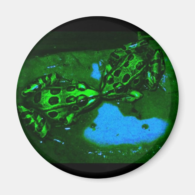 Kissgrodor Magnet (Framsidan)