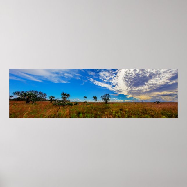 Kissimmee prairie preserve state park, Florida Poster (Framsidan)