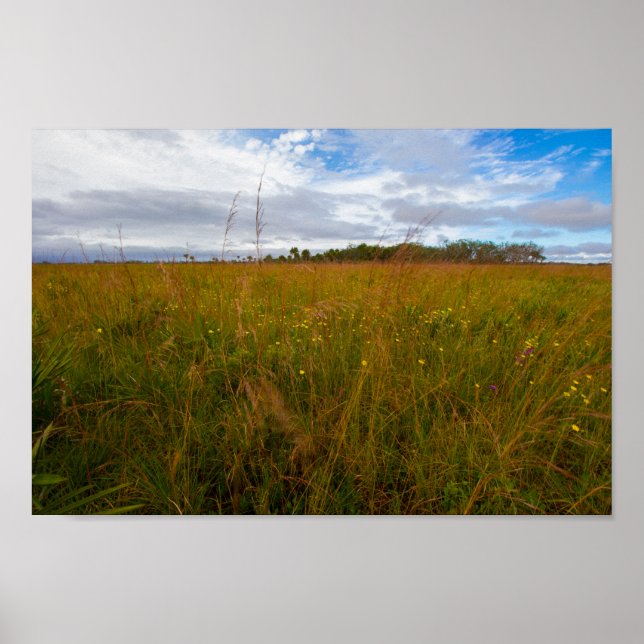 Kissimmee Prairie Preserve State Park, Florida Poster (Framsidan)