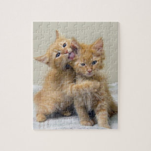 Kissing and Hugger Kittens Pussel