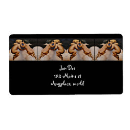 Kissing Änglar Fraktsedel