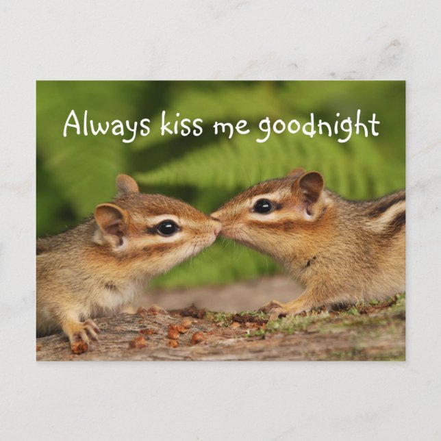 Kissing Baby Chipmunks vykort (Framsida)