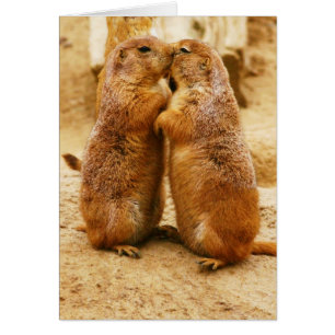 Kissing Black Tails Prairie Hundar Hälsningskort