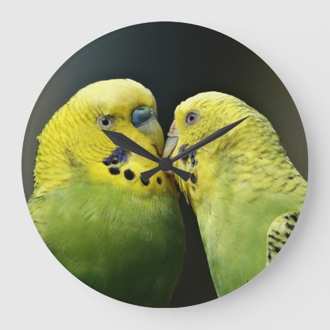 Kissing Budgie Parrot Bird Stor Klocka (Framsida)