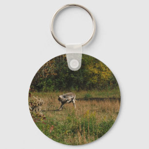 Kissing Butt Donkey Nyckelring