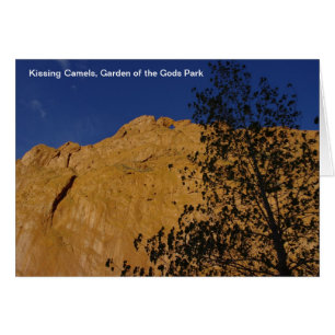 Kissing Camels Card Hälsningskort
