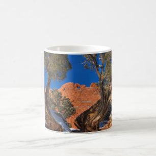 Kissing Camels Framed av Träd 01 Kaffemugg