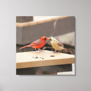 Kissing Cardinals Canvastryck