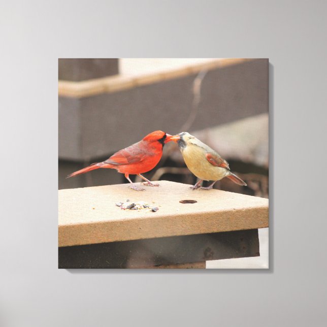 Kissing Cardinals Canvastryck (Framsida)