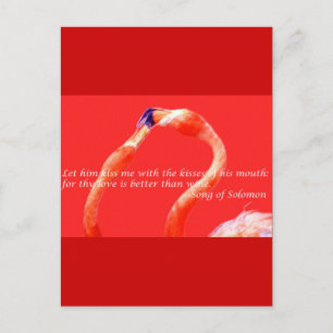Kissing Flamingos Vykort