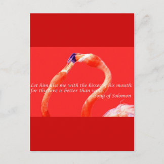 Kissing Flamingos Vykort