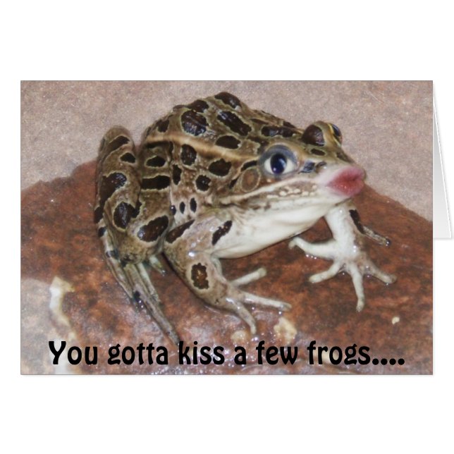 Kissing Frog Card Hälsningskort (Framsidan Horizontal)