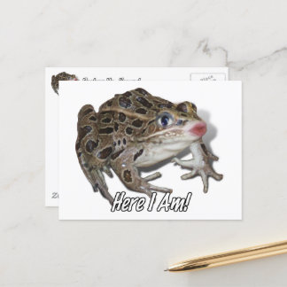 Kissing Frog - Plockera, älskling! Vykort