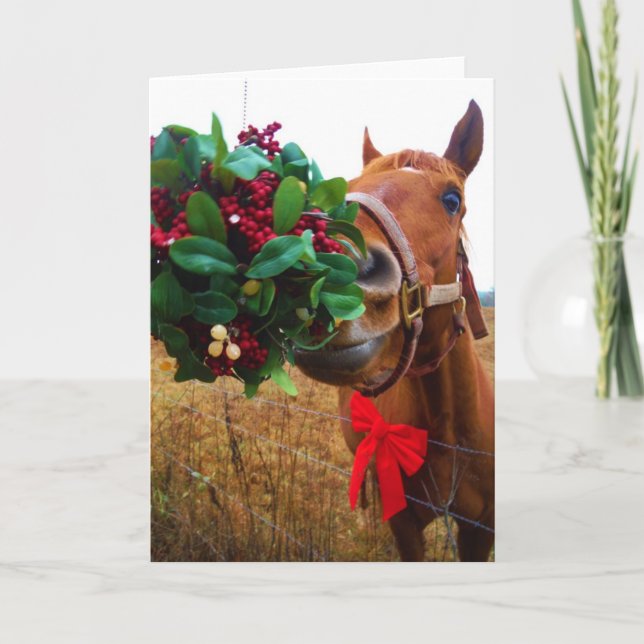 Kissing Horse under Mistletoe Helgkort (Framsida)