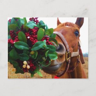 Kissing Horse under Mistletoe Vykort