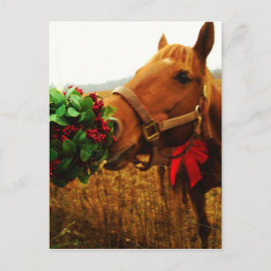 Kissing Horse under Mistletoe Vykort