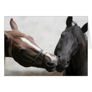 Kissing Horses Hälsningskort