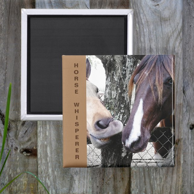 Kissing Horses Whisperer Magnet (Skapare uppladdad)