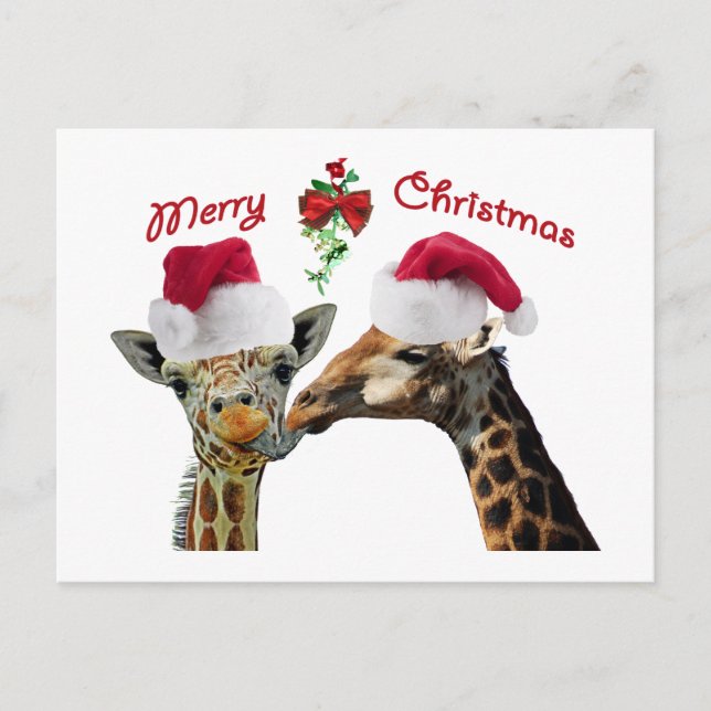Kissing jul Giraffes under Mistletoe Helg Vykort (Framsida)