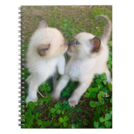 kissing kittens in clover anteckningsbok