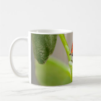 Kissing Ladybugs Kaffemugg