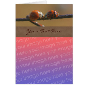 Kissing Ladybugs natur ditt fotokort Hälsningskort
