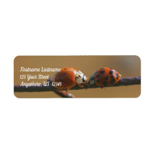 Kissing Ladybugs på ett trådstängslet Adress Returadress Etikett