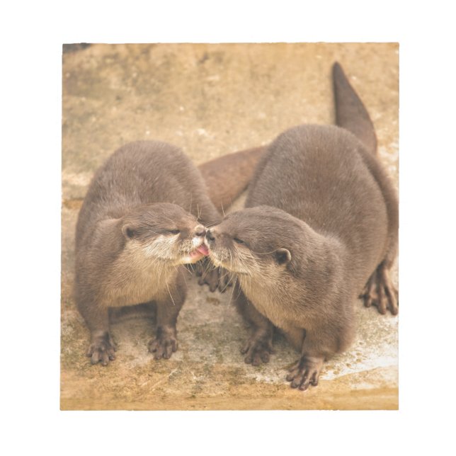 Kissing Otters Anteckningsblock (Framsida)