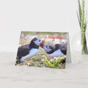 Kissing Puffins Card - Valentine Helgkort
