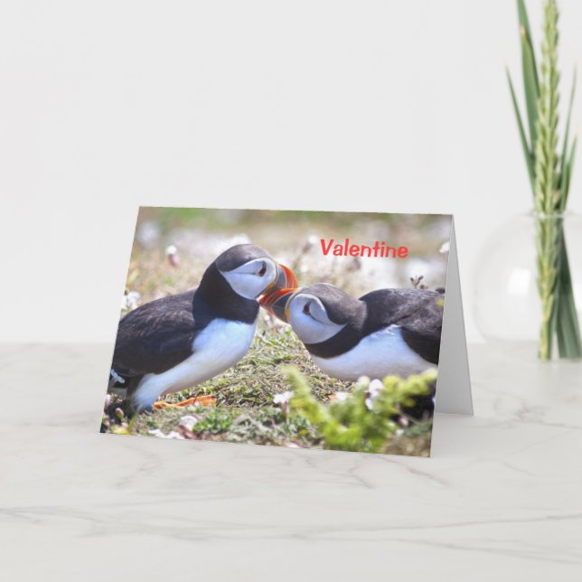 Kissing Puffins Card - Valentine Helgkort (Framsida)