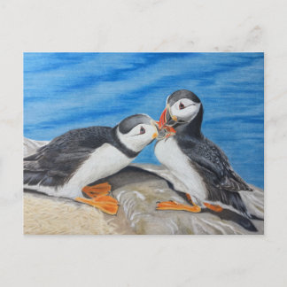 Kissing Puffins Vykort