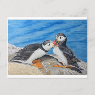 Kissing Puffins Vykort