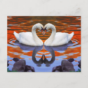 Kissing Svanar i Kärlek, Heart Shape Nacke Vykort