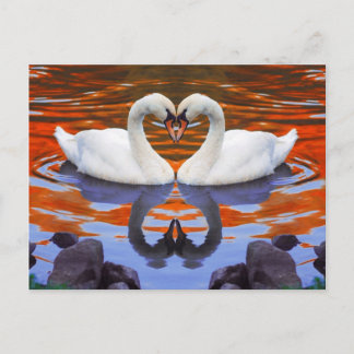 Kissing Svanar i Kärlek, Heart Shape Nacke Vykort