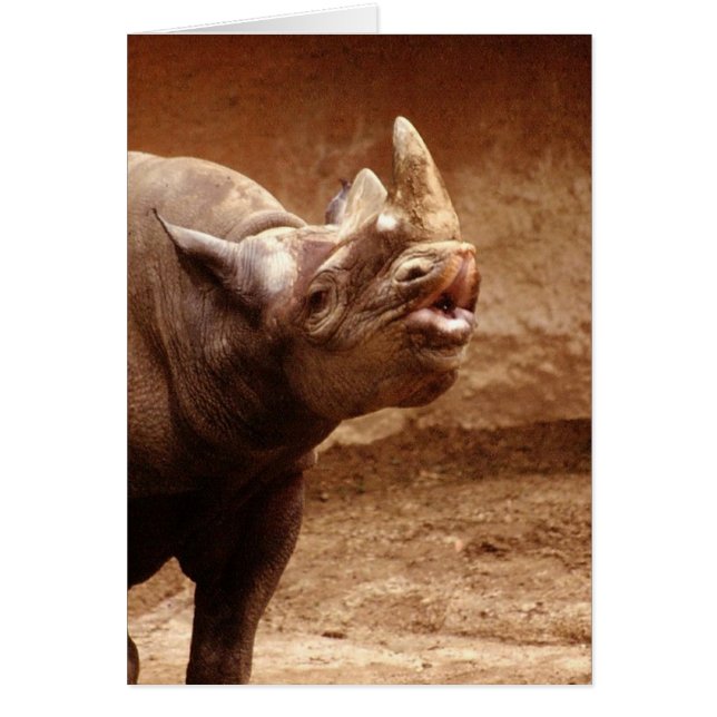 Kissy Kissy Hälsningskort (Framsidan)