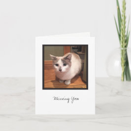 Kit Kit-samling #1 Kort