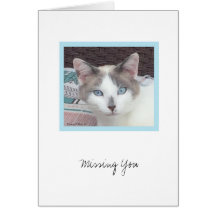 Kit Kit-samling #3-anteckningskort