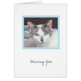 Kit Kit-samling #3-anteckningskort OBS Kort