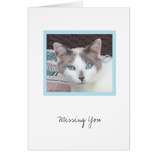 Kit Kit-samling #3-anteckningskort OBS Kort (Framsidan)