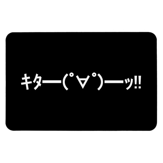 KITA! キ タ ━ ━(゜ ∀ budg) budgivningsbud bud bud!!!! Magnet (Horisontell)