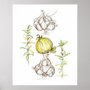 Kitchen Art Onions Vitlic Rosemary Herb Teckning Poster