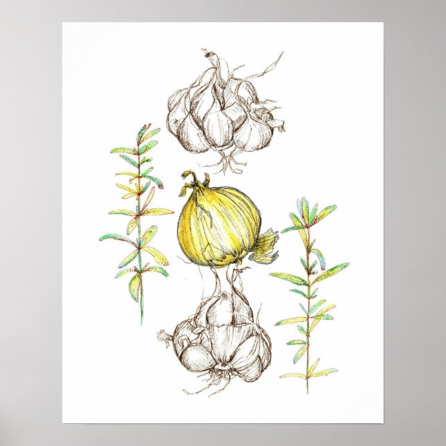 Kitchen Art Onions Vitlic Rosemary Herb Teckning Poster (Framsidan)