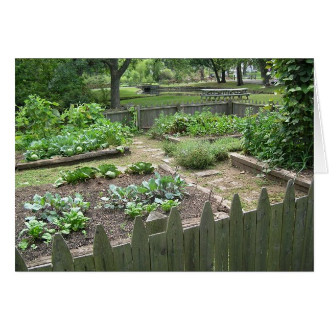 Kitchen Garden II Hälsningskort (Framsidan Horizontal)
