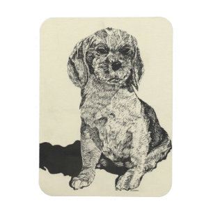 Kitchen Magnet , Cocker Spanska