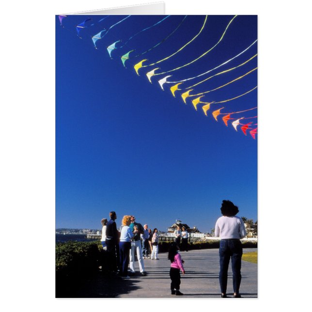 Kite Flies Hälsningskort (Framsidan)