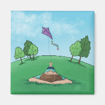Kite Flies Magnet