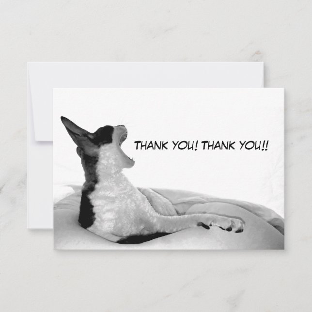 Kitsa Diva: Hennes domans drottning Tack Kort (Framsida)