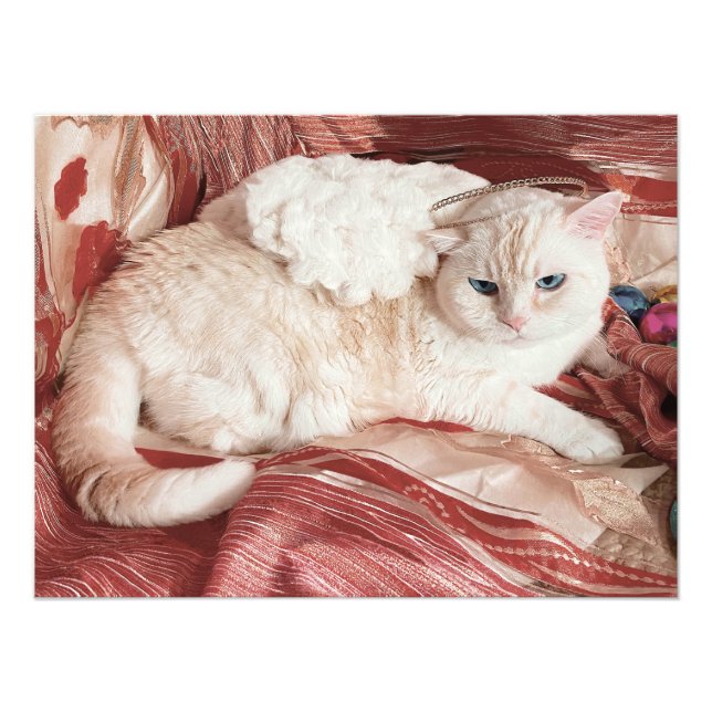 Kittängel Fototryck (Framsidan)